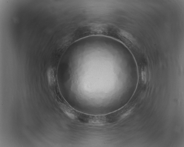 X0000074001347200608281329