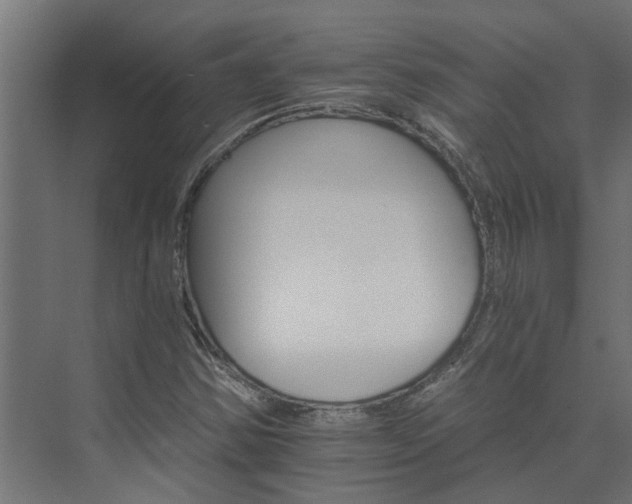 X0000074001354200608281329