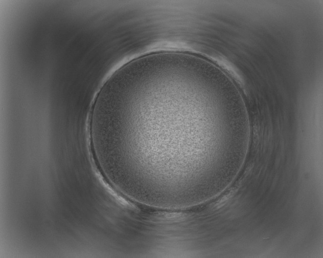 X0000074001382200608281328