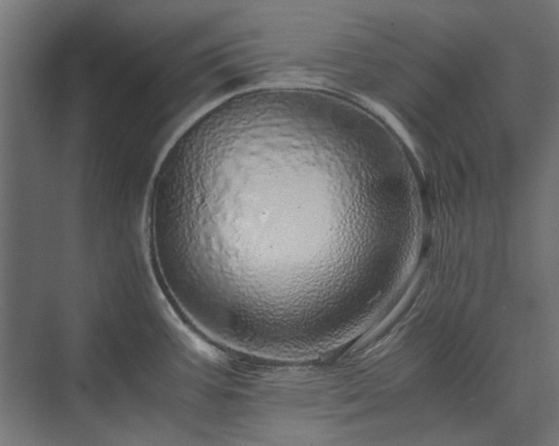 X0000074001387200608281328