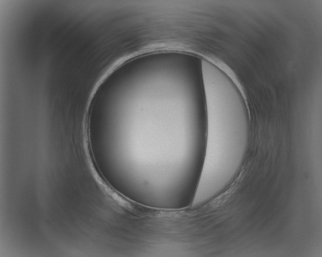 X0000074001389200608281328