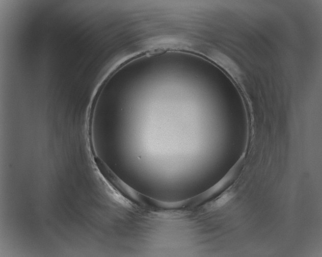 X0000074001392200608281328