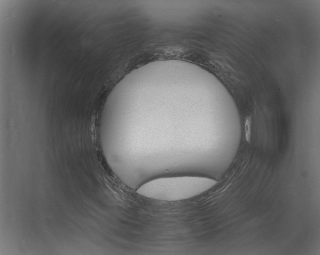 X0000074001395200608281328