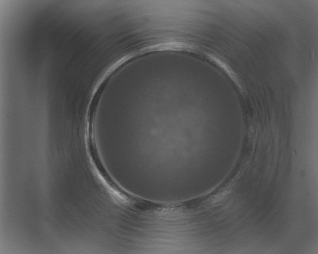 X0000074001418200608281328