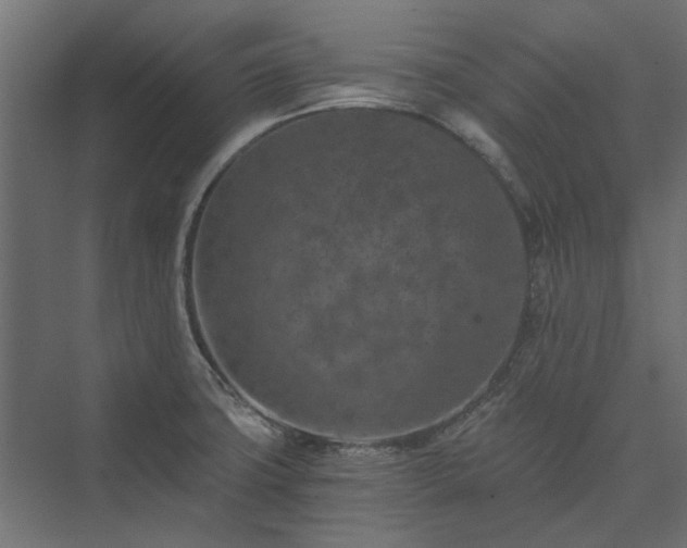 X0000074001427200608281328