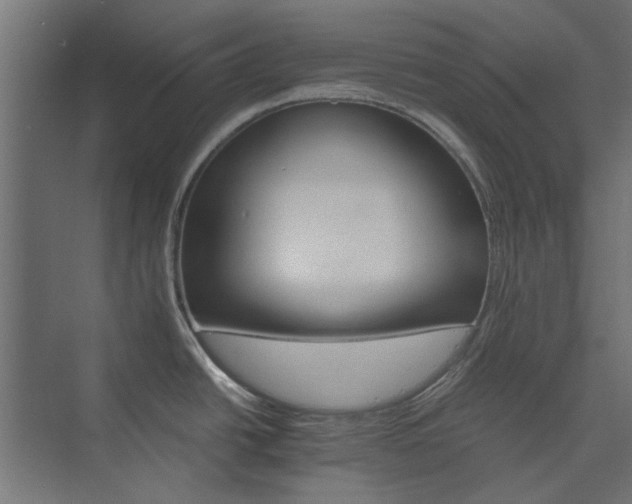 X0000074001438200608281328
