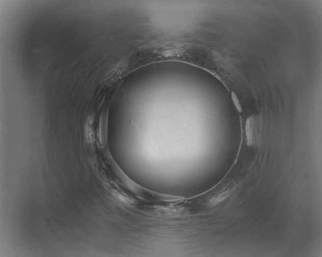 X0000074001443200608281327