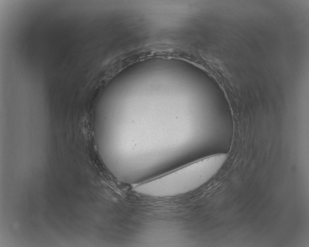 X0000074001445200608281327