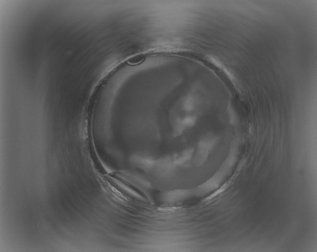 X0000074001459200608281327