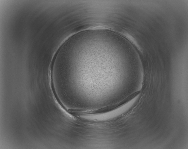 X0000074001476200608281327