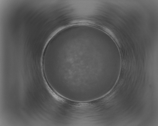 X0000074001482200608281327
