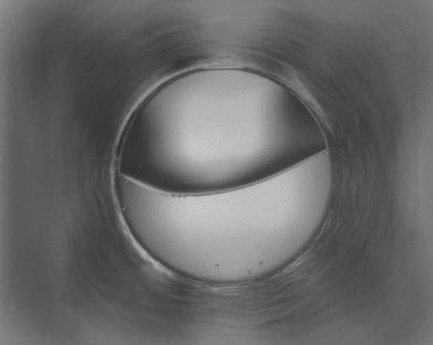 X0000074001484200608281327
