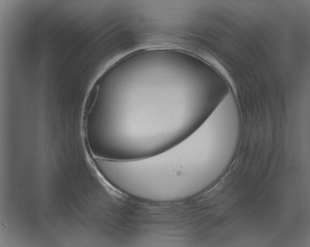 X0000074001485200608281327