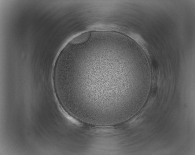 X0000074001486200608281327