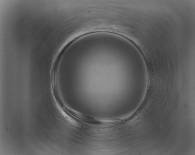 X0000074001515200608281326