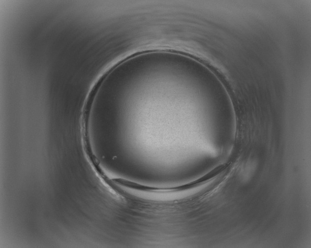 X0000074001517200608281326