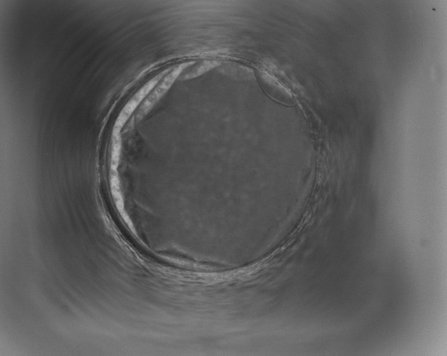 X0000074000002200609061036