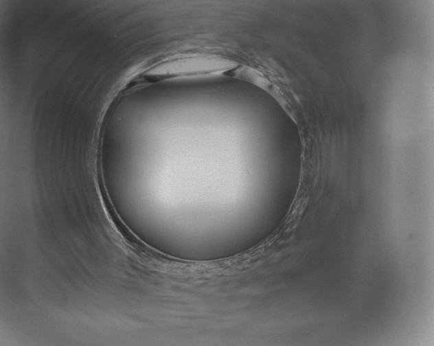 X0000074000003200609061036