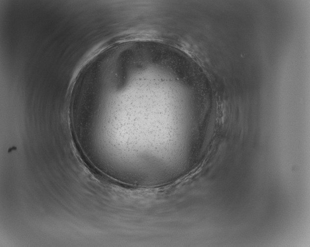 X0000074000004200609061036