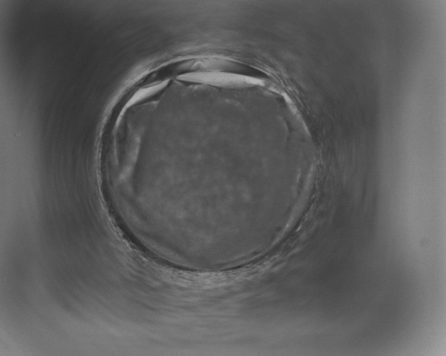 X0000074000006200609061035