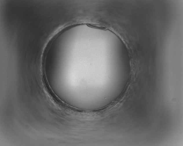 X0000074000008200609061035