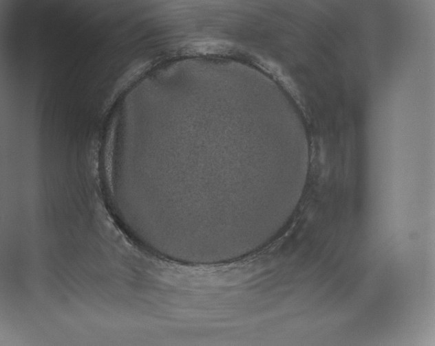 X0000074000010200609061035