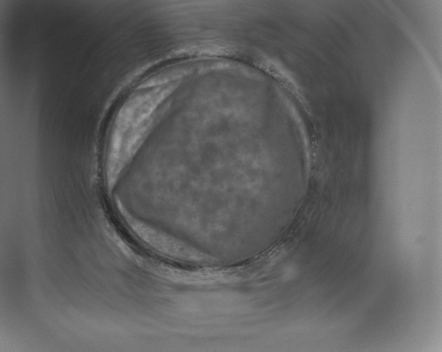 X0000074000012200609061035