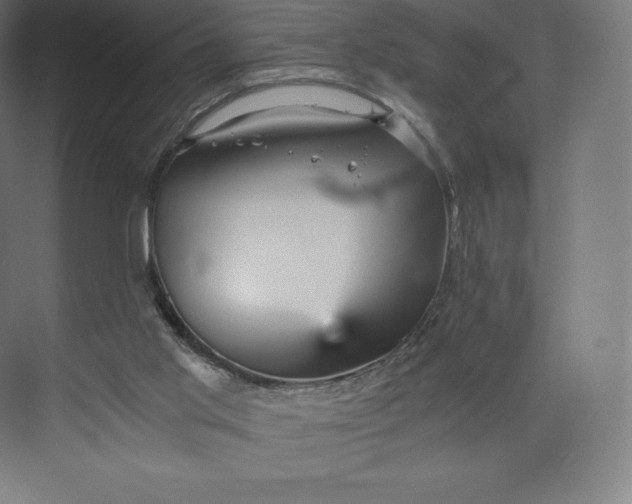 X0000074000013200609061035