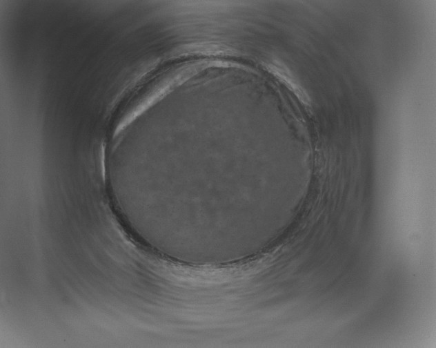 X0000074000014200609061035