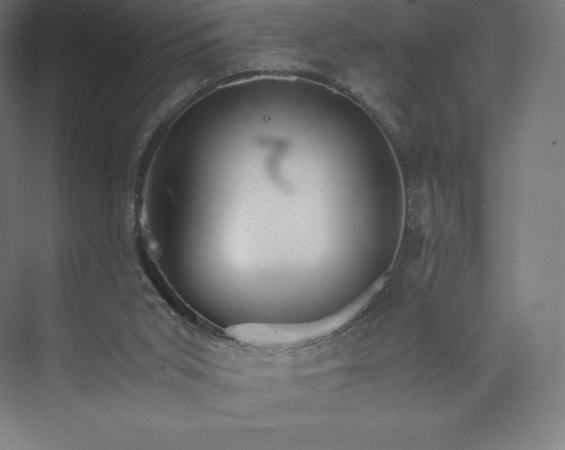 X0000074000015200609061035