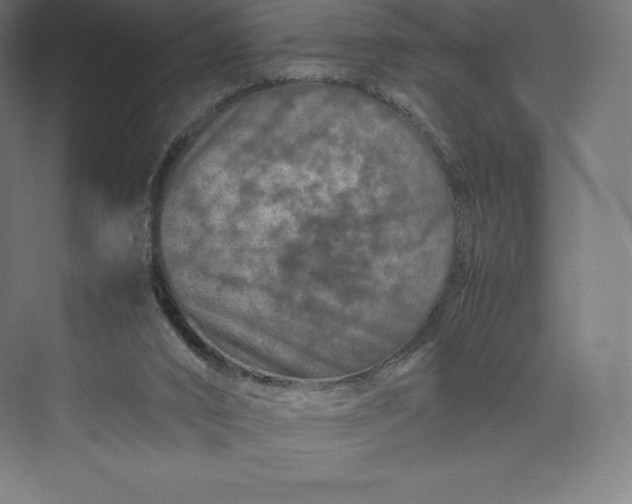 X0000074000016200609061035