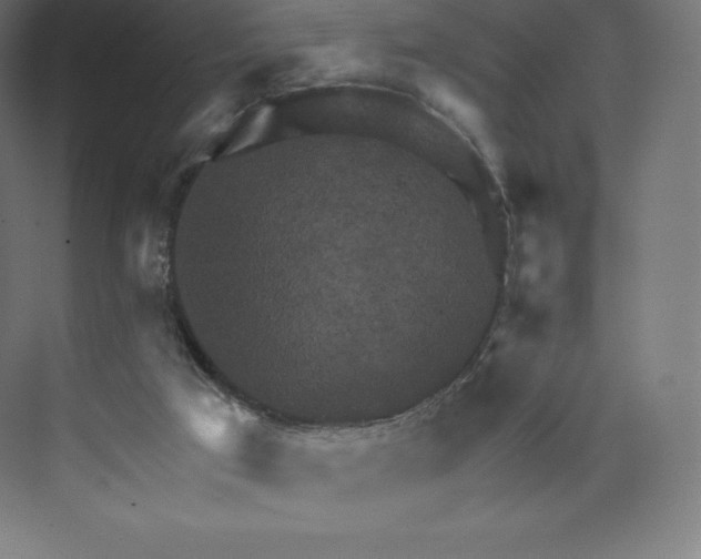 X0000074000017200609061035