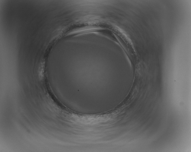 X0000074000018200609061035