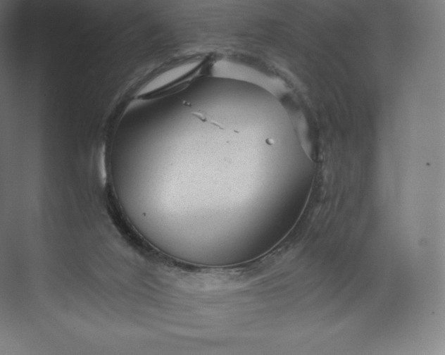 X0000074000020200609061035