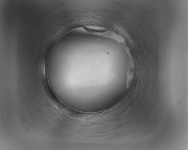 X0000074000021200609061035