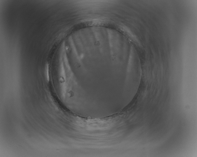 X0000074000022200609061035