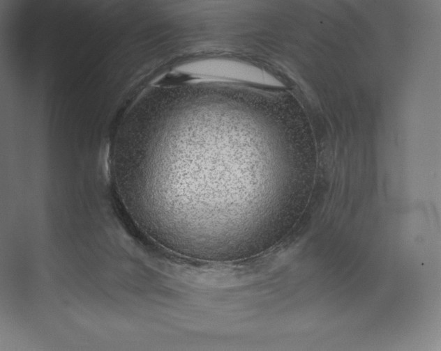 X0000074000024200609061035