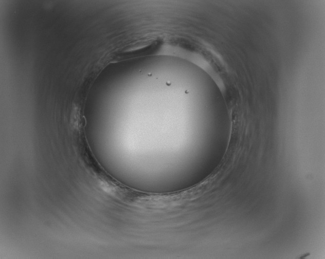 X0000074000025200609061035