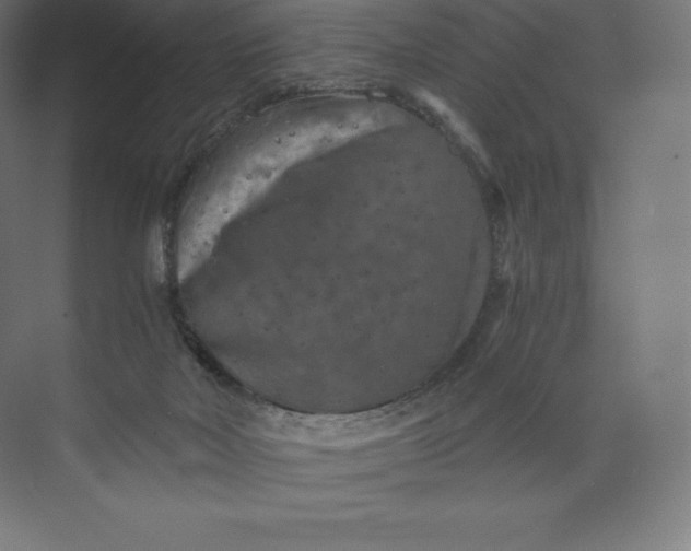 X0000074000026200609061035