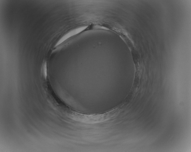 X0000074000027200609061035