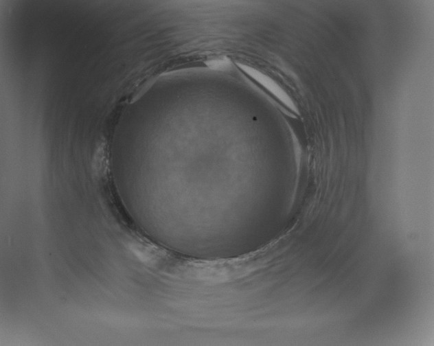 X0000074000029200609061035