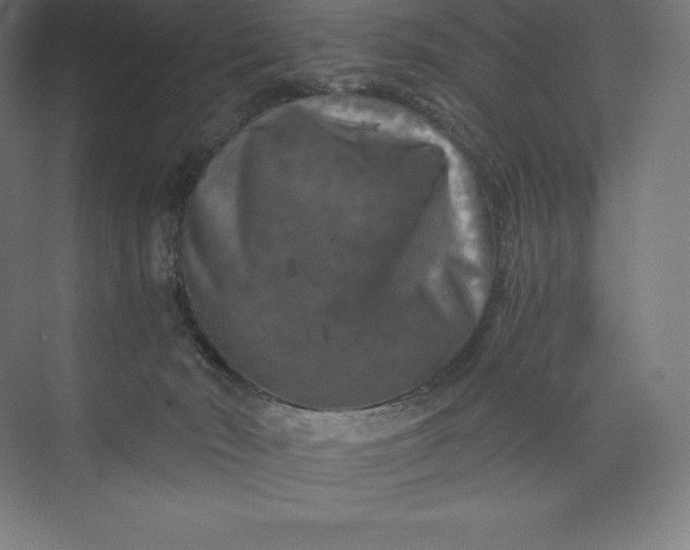 X0000074000030200609061035