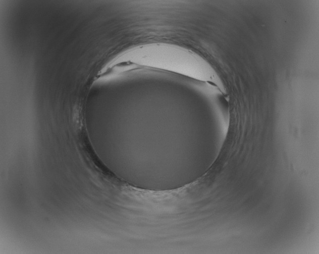 X0000074000031200609061035