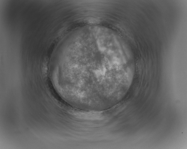 X0000074000032200609061035