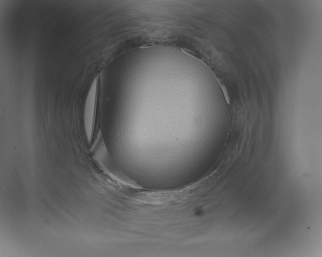 X0000074000033200609061035