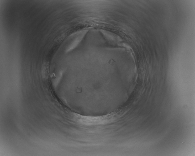 X0000074000034200609061035