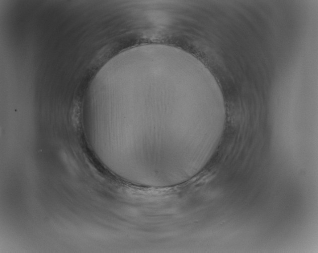 X0000074000036200609061035