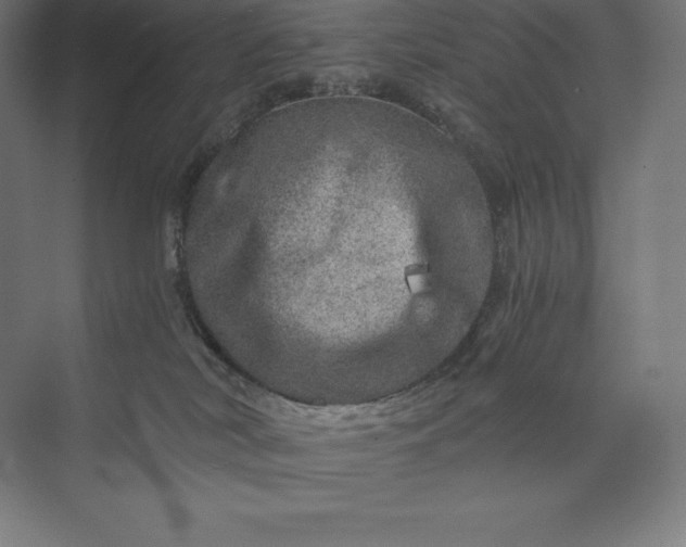 X0000074000038200609061035