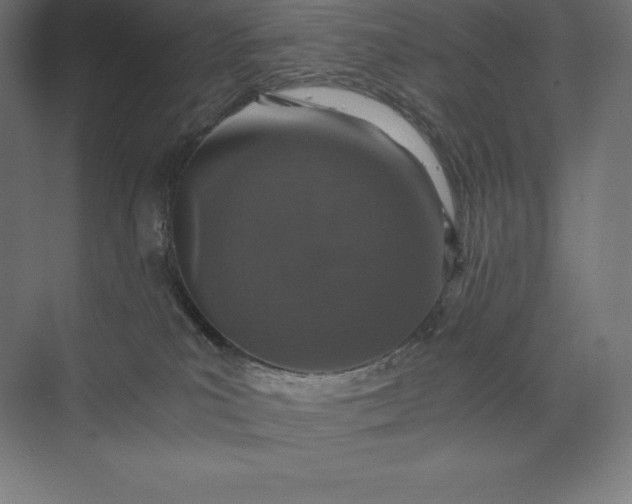 X0000074000039200609061035