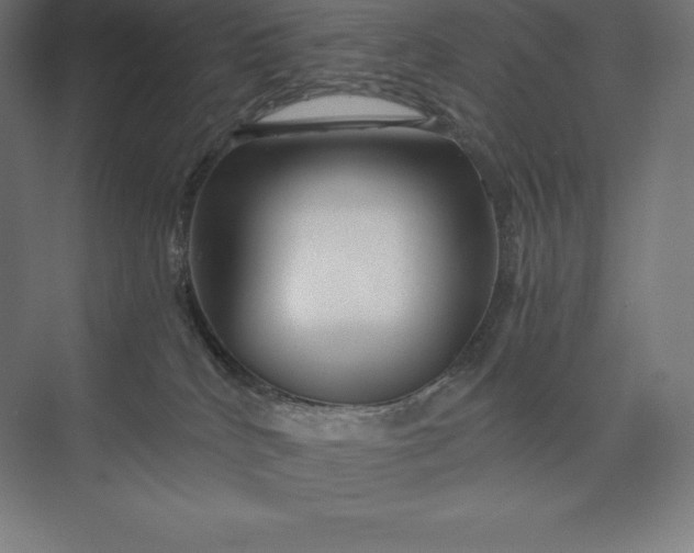 X0000074000040200609061035